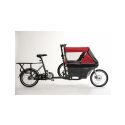 WIKE SALAMANDER RED - 1