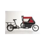 WIKE SALAMANDER RED - 1