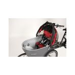 WIKE SALAMANDER RED - 5